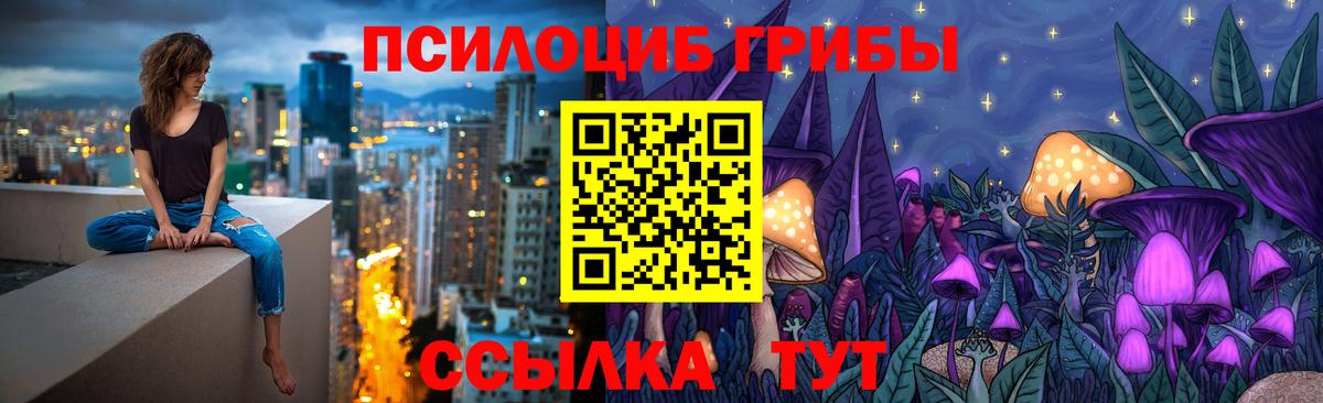 Галлюциногенные грибы мицелий  Псилоцибиновые грибы прущие грибы  Урюпинск  Вход с VPN 